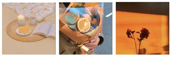 1623823397131358.jpg 14.jpg