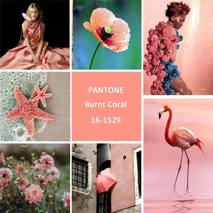 1624083643914554.jpg 微信圖片_20210619142012.jpg