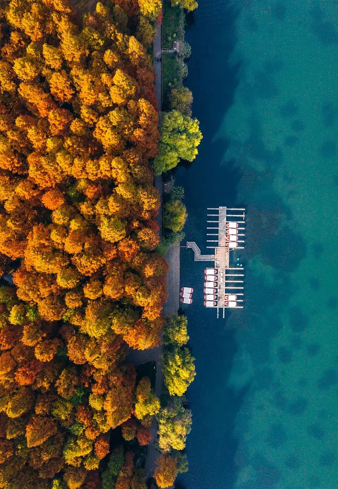 1666856987.jpg 微信圖片_20221027155034.jpg