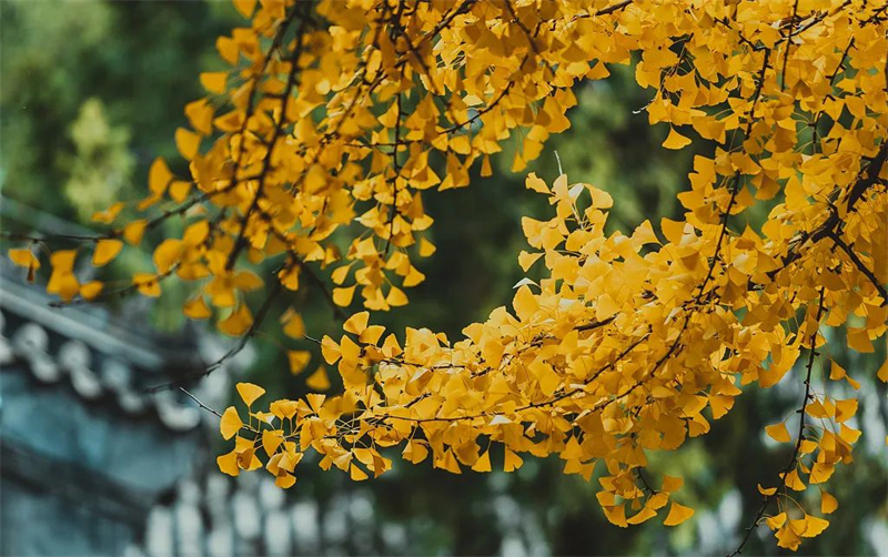 1666857880.jpg 微信圖片_20221027160533.jpg