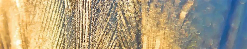 1677575204.jpg 微信圖片_20230228170822.jpg